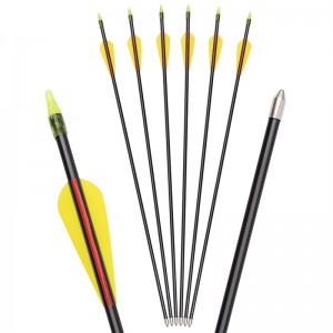 Elong Allamuigh 115549 id5mm id5mm fiberglass arrow arrow ag baint úsáide as an mbogadh