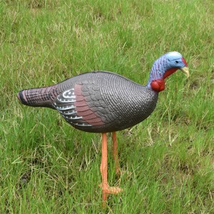 Elong Allamuigh 41T3D2 Sicín 3D Sprioc Plactice Lámhach Boghdóireacht Ag baint úsáide as Sprioc Lifelike