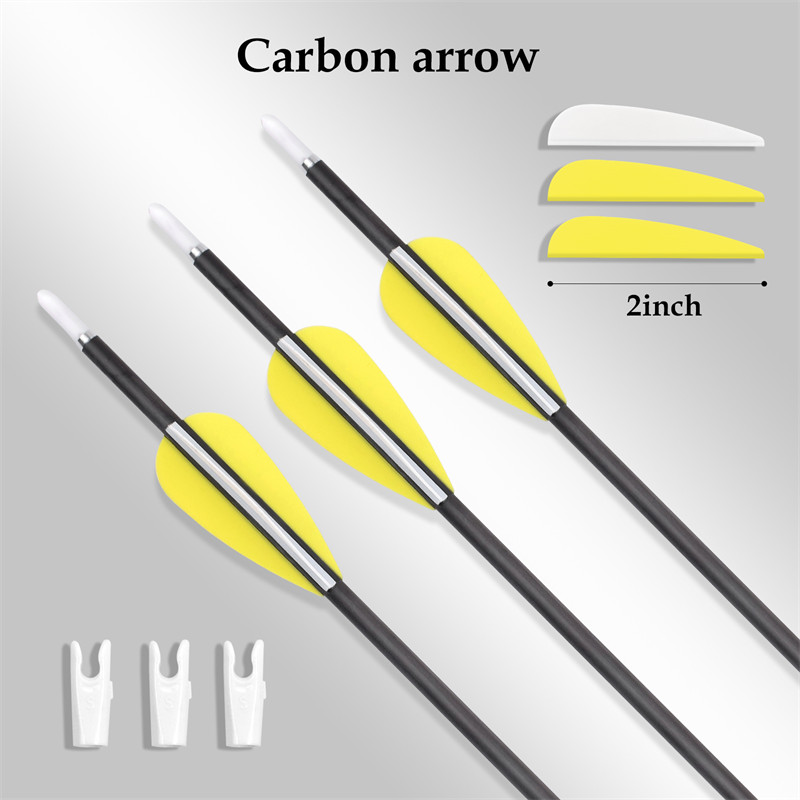 Saighead carbóin íon 3.2mm